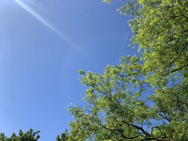 063BC1A5-758F-4D35-BEA3-0F101CDBFCAC