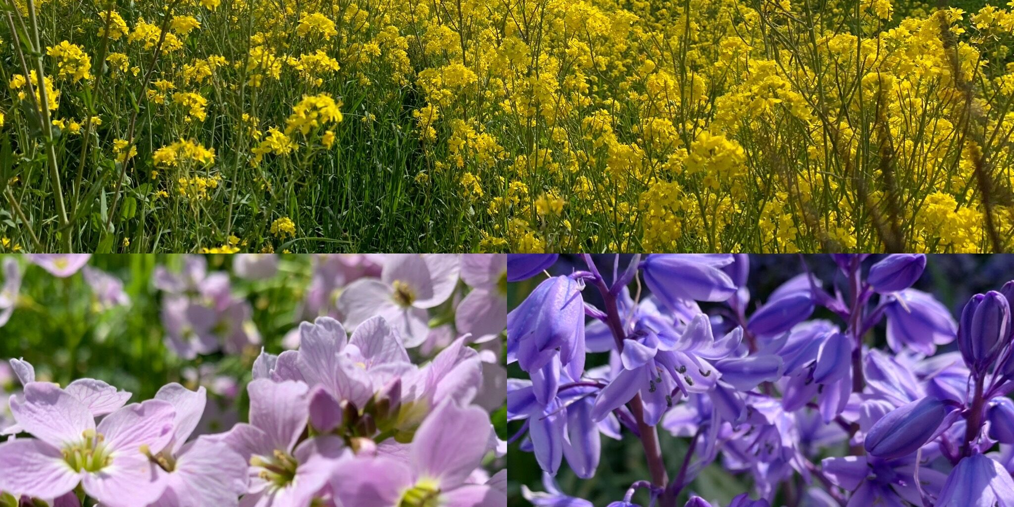 6B2670B1-2663-4239-B598-1D13A3693F55